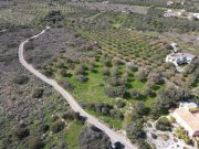 Milatos Kreta, Milatos: Baugrundstück im Zentrum in Meeresnähe zu verkaufen Grundstück kaufen